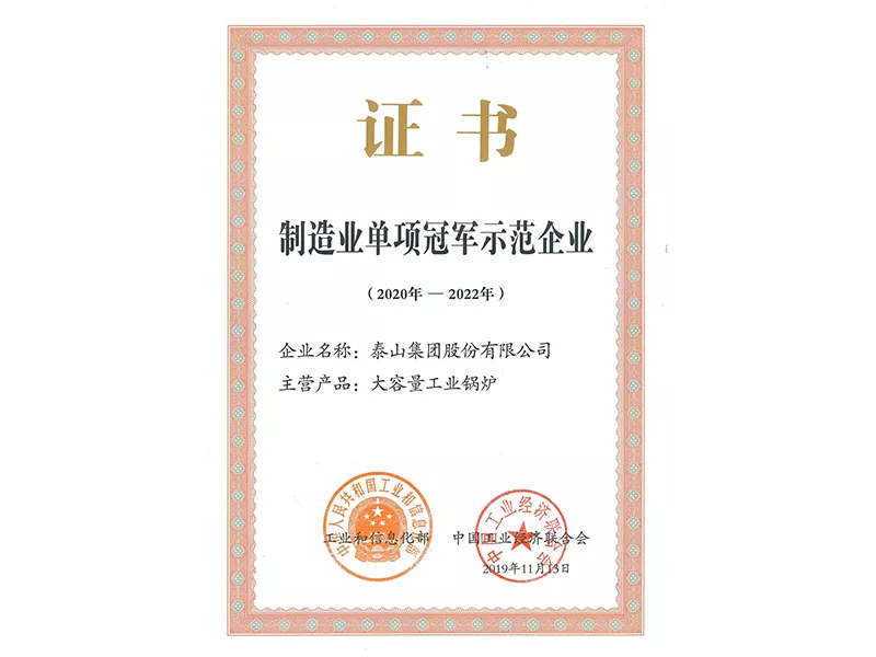 Demonstration enterprise of single champion in the manufacturing industry